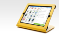Picture of WindFall POS Stand